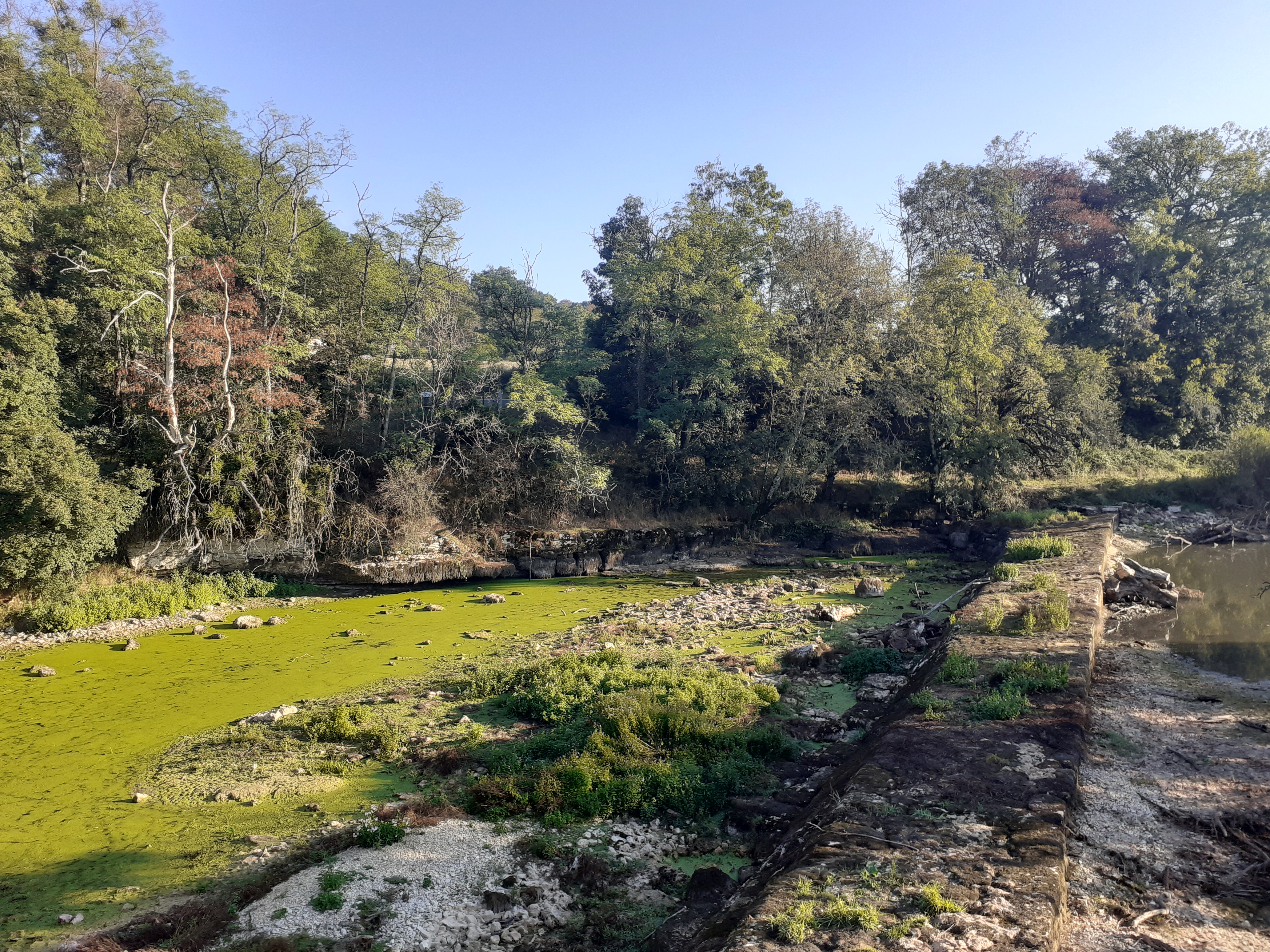 2025 11 16 ValleeSuran